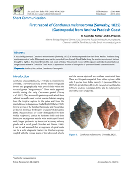 First Record Ofcantharus Melanostoma (Sowerby, 1825) (Gastropoda