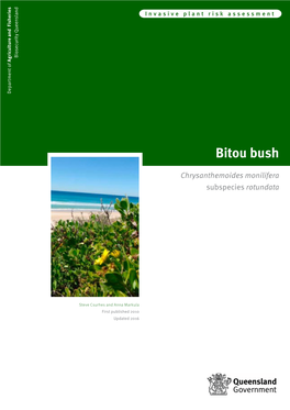 Bitou Bush Bitou © State of Queensland, 2016