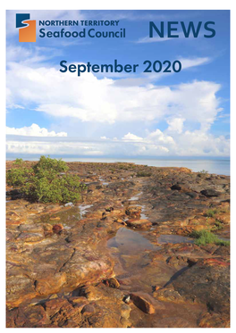 View Pdf of NT Seafood Council News September Issue