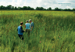 The Wetlands Initiative 2013 Annual Report