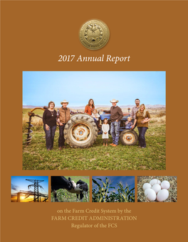 2017 Annual Report on the Farm Credit System