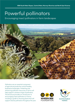 Powerful Pollinators Encouraging Insect Pollinators in Farm Landscapes