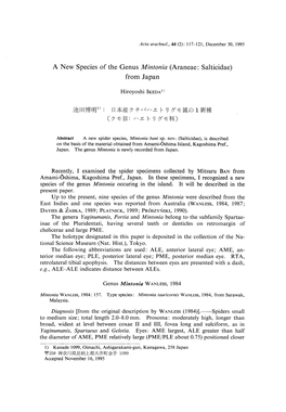 A New Species of the Genus Mintonia (Araneae: from Japan Hiroyoshi