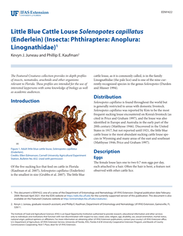 Little Blue Cattle Louse Solenopotes Capillatus (Enderlein) (Insecta: Phthiraptera: Anoplura: Linognathidae)1 Kevyn J