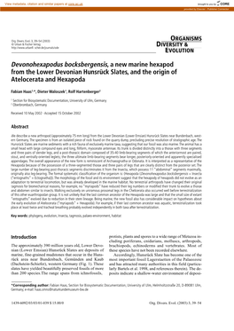 Devonohexapodus Bocksbergensis, a New Marine Hexapod from the Lower Devonian Hunsrück Slates, and the Origin of Atelocerata and Hexapoda