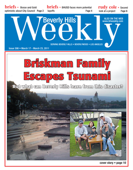 Briskman Family Escapes Tsunami but What Can Beverly Hills Learn from This Disaster?