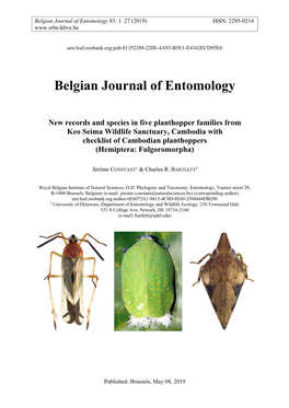 Hemiptera: Fulgoromorpha)