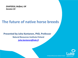The Future of Native Horse Breeds