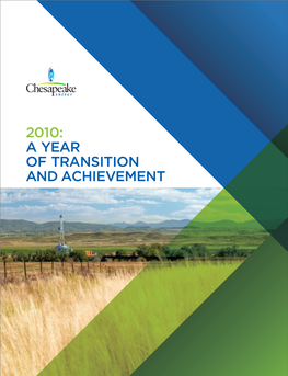 2010: a Year of Transition and Achievement Corporate Profile
