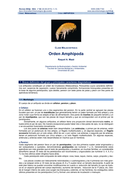 Orden AMPHIPODA Manual