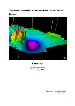 Prospectivity Analysis of the Northern Dutch Central Graben Internship