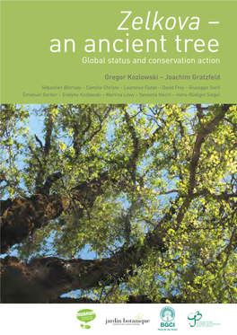 Zelkova – an Ancient Tree Global Status and Conservation Action