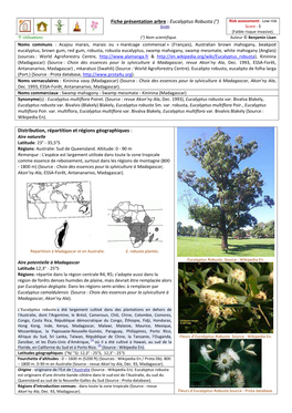 Eucalyptus Robusta (°) Risk Assessment: Low Risk Smith Score : 3 (Faible Risque Invasive)