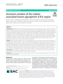 Associated Human Glycophorin ABE Region