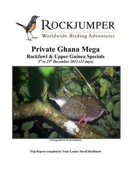 Private Ghana Mega Rockfowl & Upper Guinea Specials 5Th to 25Th December 2012 (21 Days)