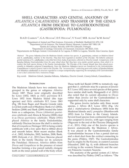 SHELL CHARACTERS and GENITAL ANATOMY of Atlantica Calathoides and TRANSFER of the GENUS Atlantica from DISCIDAE to GASTRODONTIDAE (Gastropoda: Pulmonata)