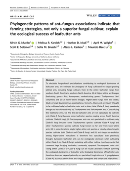 Phylogenetic Patterns of Ant–