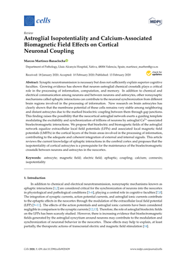 Astroglial Isopotentiality and Calcium-Associated Biomagnetic Field Eﬀects on Cortical Neuronal Coupling