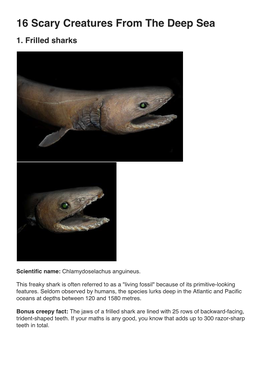 16 Scary Creatures from the Deep Sea 1