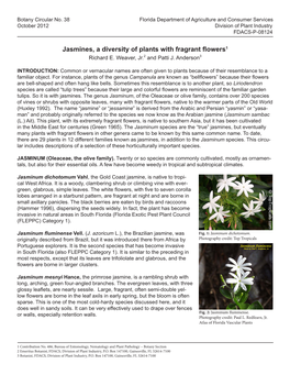 Jasmines, a Diversity of Plants with Fragrant Flowers1 Richard E