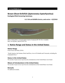 Apteronotus Leptorhynchus) Ecological Risk Screening Summary