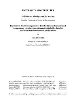 Implication Des Microorganismes Dans Les Biotransformations Et Processus De Transfert Des Métaux Et Métalloïdes Dans Les Environnements Contaminés Par Les Mines