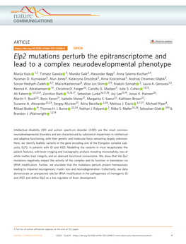 Elp2 Mutations Perturb the Epitranscriptome and Lead to a Complex Neurodevelopmental Phenotype