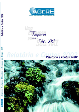 Relatório E Contas De 2002