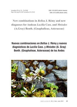 New Combinations in Belloa J. Rémy and New Diagnoses for Andean Lucilia and Mniodes (Gnaphalieae, Asteraceae)