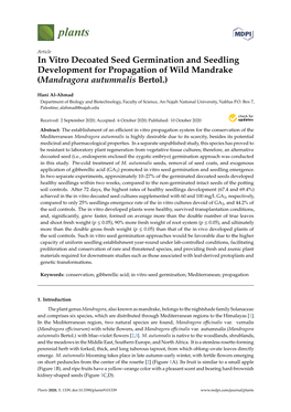 In Vitro Decoated Seed Germination and Seedling Development for Propagation of Wild Mandrake (Mandragora Autumnalis Bertol.)