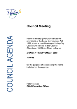 Council Meeting