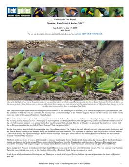 Field Guides Tour Report Ecuador: Rainforest & Andes 2017