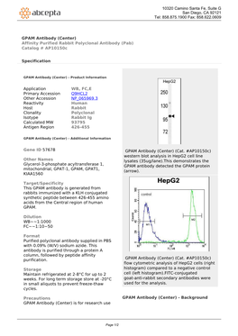 GPAM Antibody (Center) Affinity Purified Rabbit Polyclonal Antibody (Pab) Catalog # Ap10150c