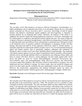 Biological Control of Red Palm Weevil Rhynchophorus Ferrugineus (Coleoptera: Curculionidae) by the Natural Enemies