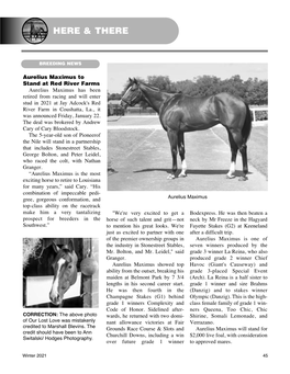 Read Article from the Winter 2021 Louisiana Horse