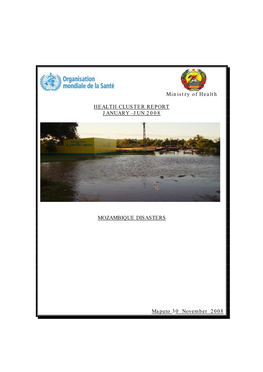 2008 Floods Health Cluster Response Report