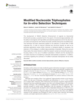 Modified Nucleoside Triphosphates for In-Vitro Selection Techniques