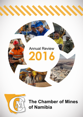 2016 Annual Review