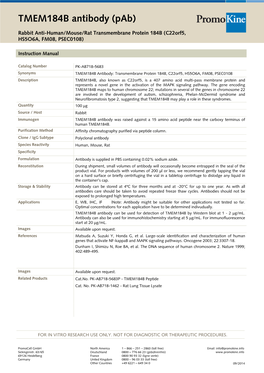 TMEM184B Antibody (Pab)