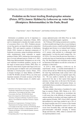 Predation on the Lesser Treefrog Dendropsophus Minutus (Peters, 1872) (Anura: Hylidae) by Lethocerus Sp