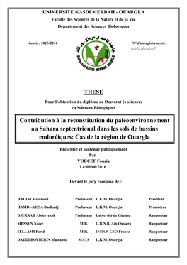 Contribution À La Reconstitution Du Paléoenvironnement Au Sahara