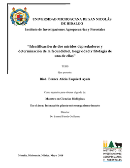 “Identificación De Dos Míridos Depredadores Y Determinación De La Fecundidad, Longevidad Y Fitofagia De Uno De Ellos”