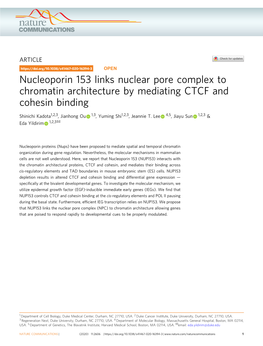 Nucleoporin 153 Links Nuclear Pore Complex to Chromatin Architecture by Mediating CTCF and Cohesin Binding