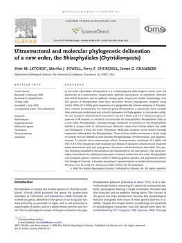 Ultrastructural and Molecular Phylogenetic Delineation of a New Order, the Rhizophydiales (Chytridiomycota)