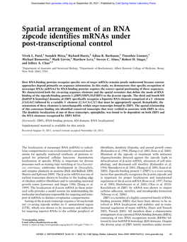 Spatial Arrangement of an RNA Zipcode Identifies Mrnas Under Post-Transcriptional Control