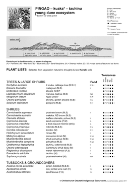 Set 3 Plains Plant List AA