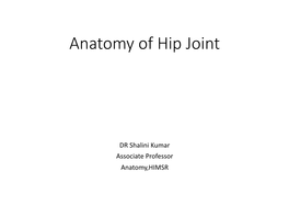 Anatomy of Hip Joint