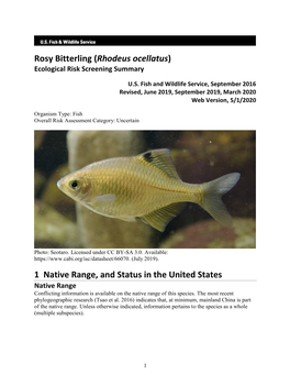 Rosy Bitterling (Rhodeus Ocellatus) Ecological Risk Screening Summary