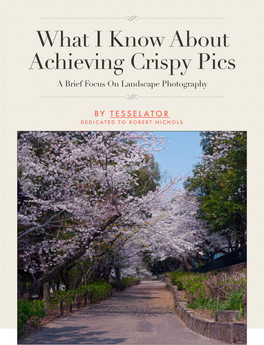 What I Know About Achieving Crispy Pics a Brief Focus on Landscape Photography