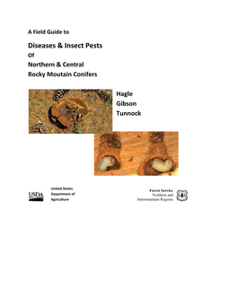Diseases & Insect Pests